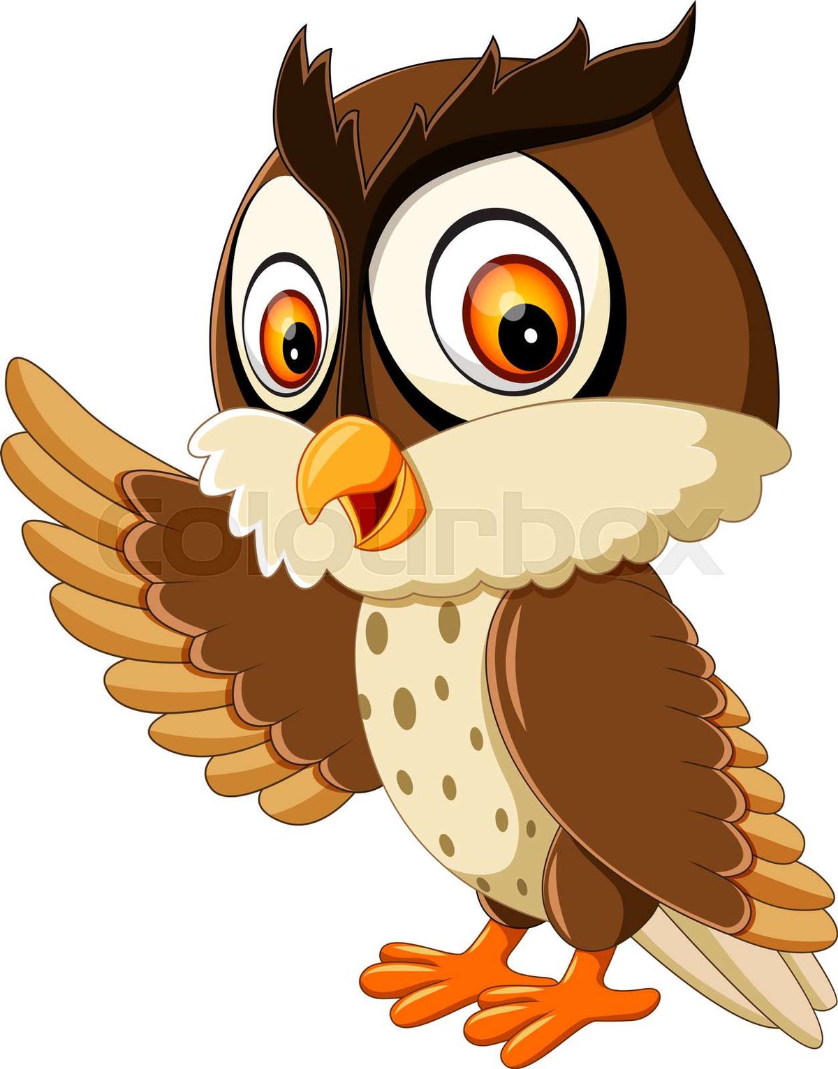 Cartoon of an Owl Illustrations From Wise Teachers to Playful Mascots