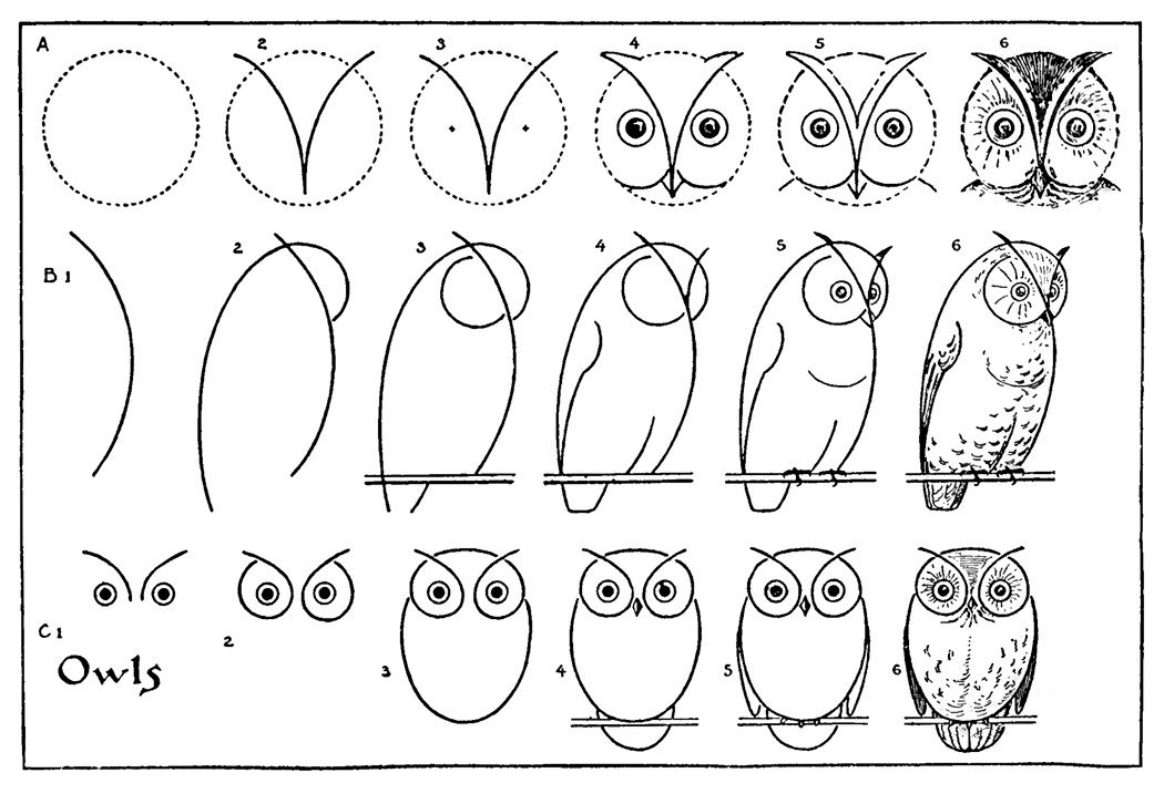 Drawing Cartoon Owls: Step-by-step Guides Made Simple